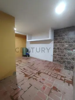Vista 19