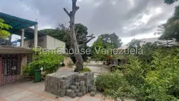 Vista 37