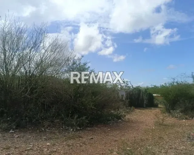 OPORTUNIDAD DE INVERSIÓN, TERRENO EN LAS VILLARROELES - 3