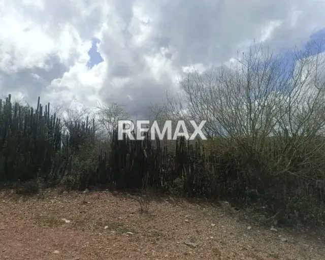 OPORTUNIDAD DE INVERSIÓN, TERRENO EN LAS VILLARROELES - 4