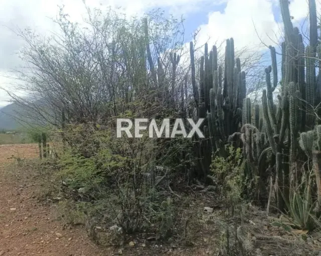 OPORTUNIDAD DE INVERSIÓN, TERRENO EN LAS VILLARROELES - 7