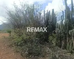 Vista 7