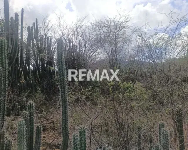 OPORTUNIDAD DE INVERSIÓN, TERRENO EN LAS VILLARROELES - 8