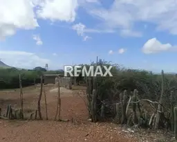 Vista 9