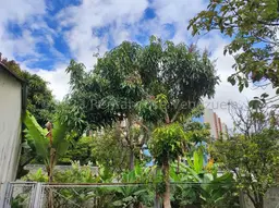 View 53