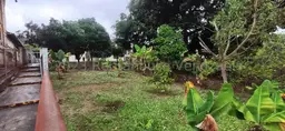 View 57