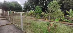 View 58