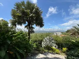 View 40