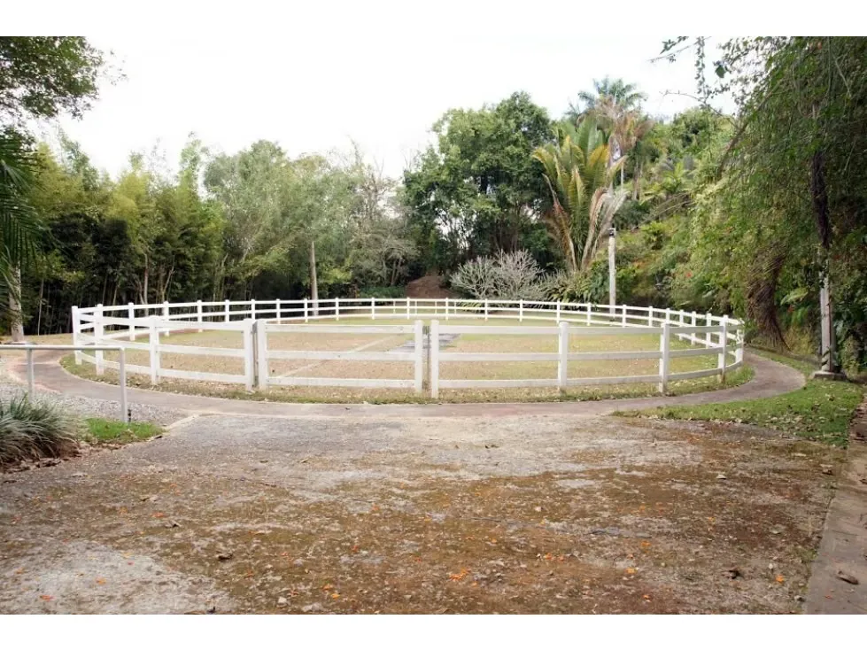 Se vende caballeriza 30.000m2 Parque Caiza 1828 - 7