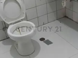 Vista 11
