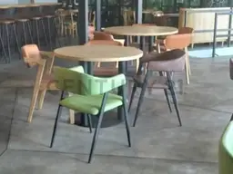 Vista 16