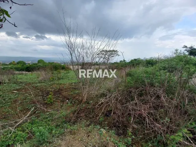 Terreno en venta Brisas de Terepaima - 3