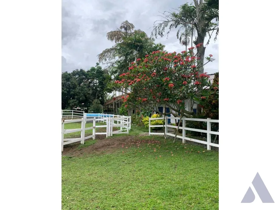 Vendo terreno c/ casa 15.000m2 Tejerias 3618 - 2
