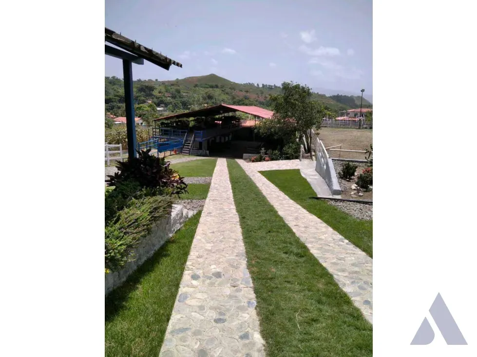 Vendo terreno c/ casa 15.000m2 Tejerias 3618 - 11