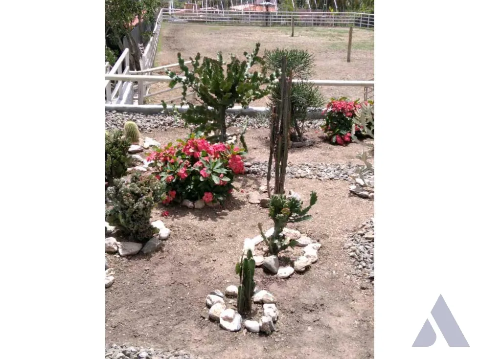 Vendo terreno c/ casa 15.000m2 Tejerias 3618 - 12