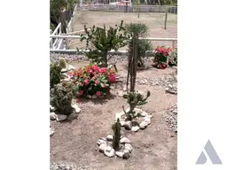 View 12