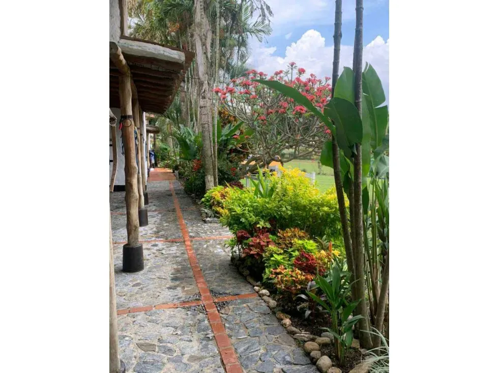 Vendo terreno c/ casa 15.000m2 Tejerias 3618 - 22