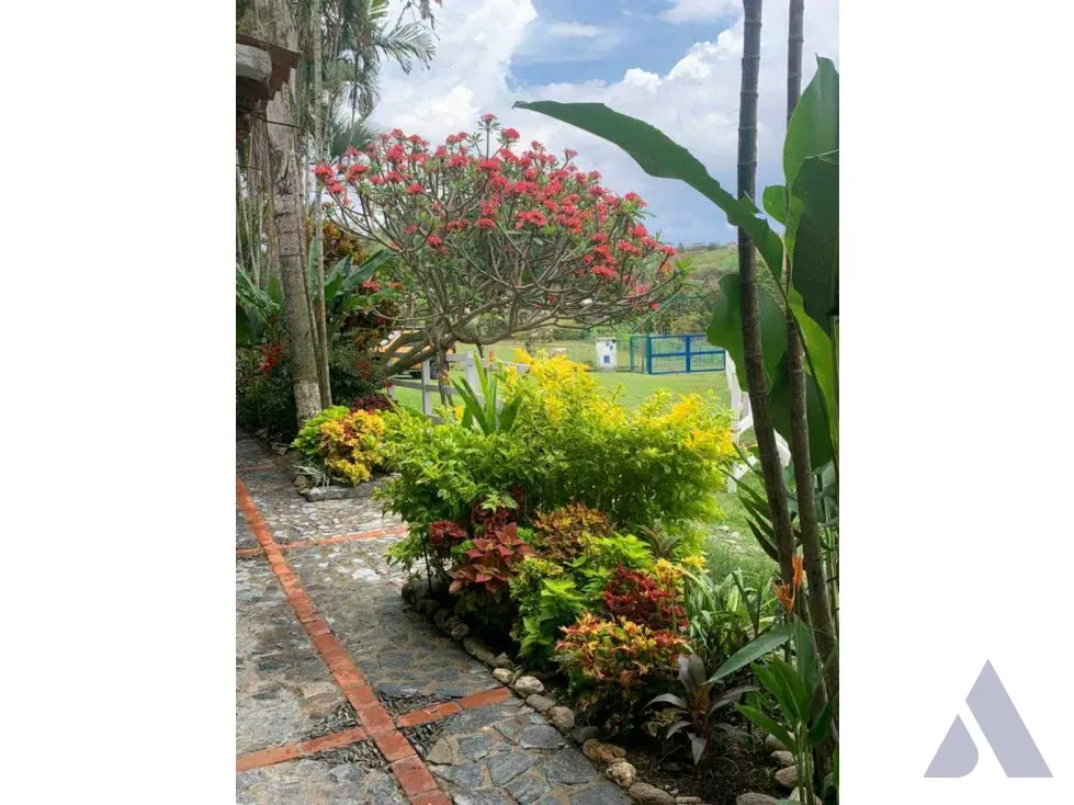 Vendo terreno c/ casa 15.000m2 Tejerias 3618 - 23
