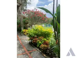 View 23