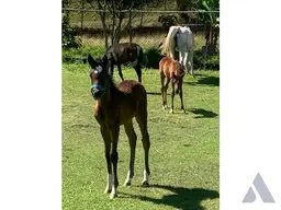 View 4