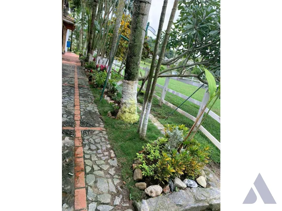 Vendo terreno c/ casa 15.000m2 Tejerias 3618 - 5