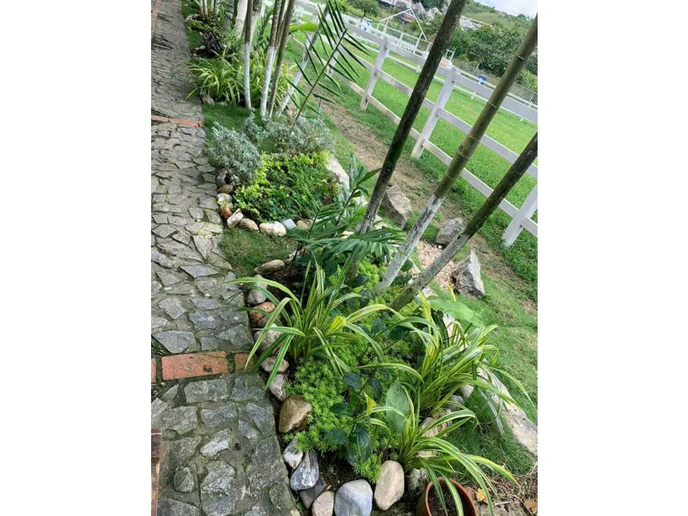 Vendo terreno c/ casa 15.000m2 Tejerias 3618 - 6