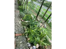 View 6