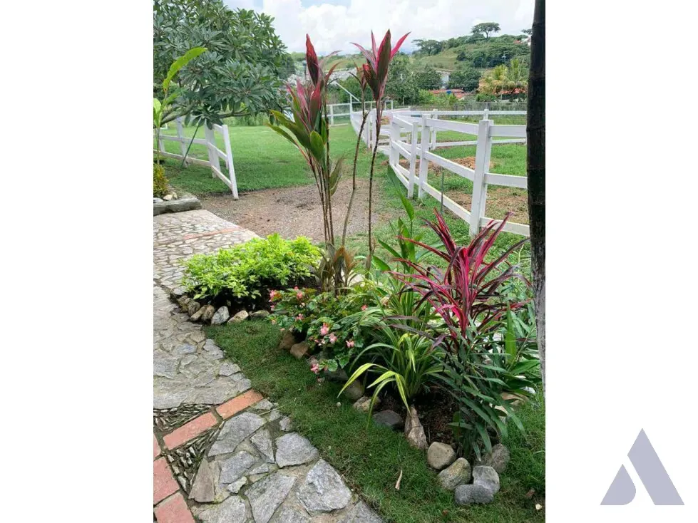 Vendo terreno c/ casa 15.000m2 Tejerias 3618 - 7