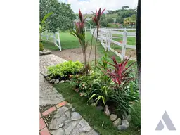 View 7
