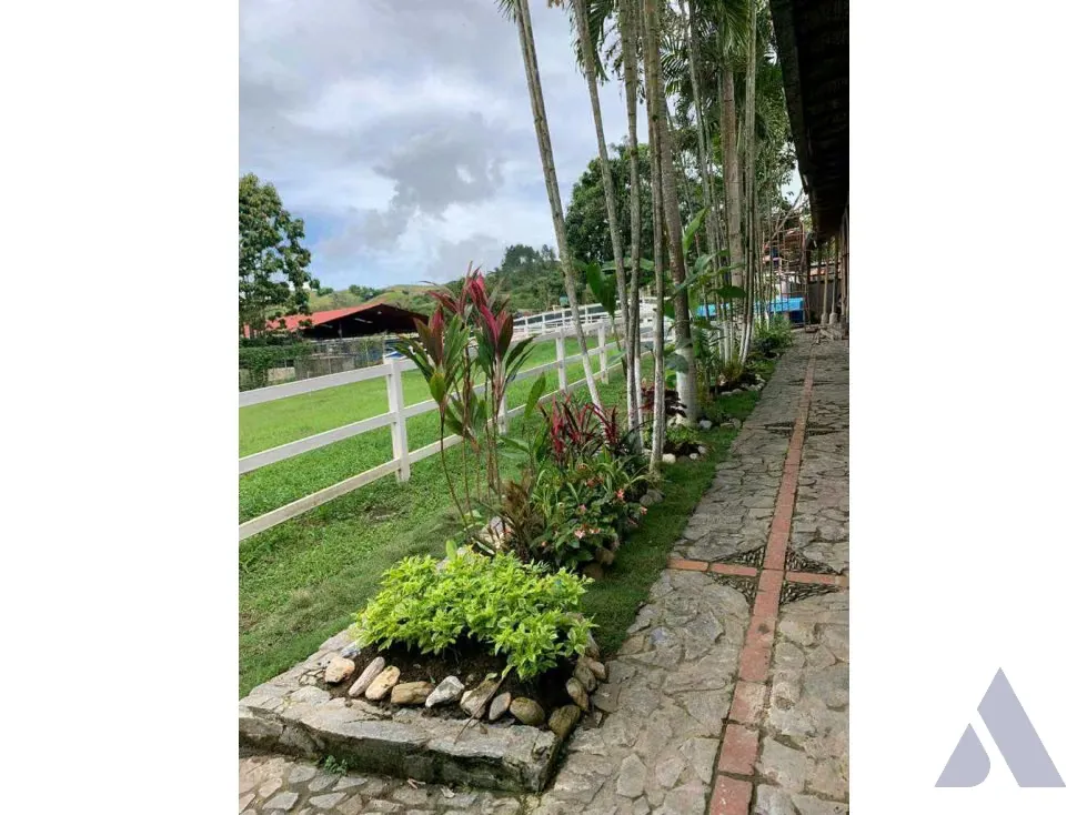 Vendo terreno c/ casa 15.000m2 Tejerias 3618 - 8
