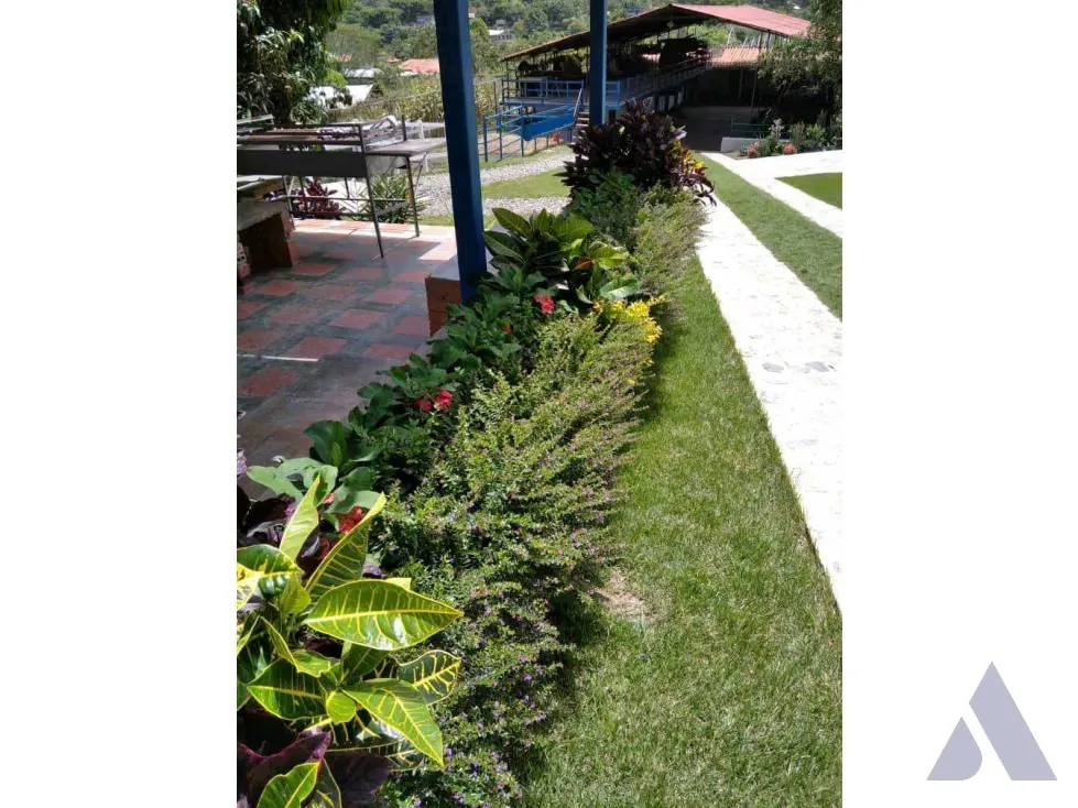Vendo terreno c/ casa 15.000m2 Tejerias 3618 - 10