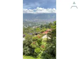 Vista 21