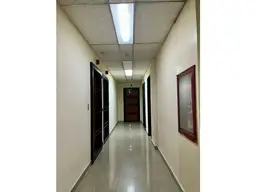 Vista 5