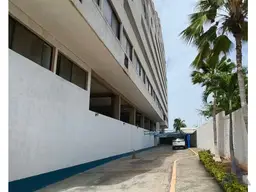 Vista 19