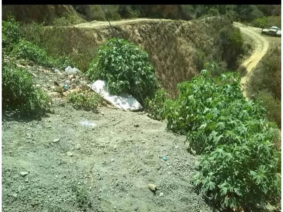 Terreno en venta 0m², KM 13 DEL JUNQUITO EL HATICO - 3