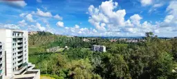 View 25