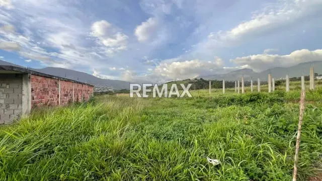 SE VENDE PARCELA EN PUERTA DORADA | LA MACHIRI - 3