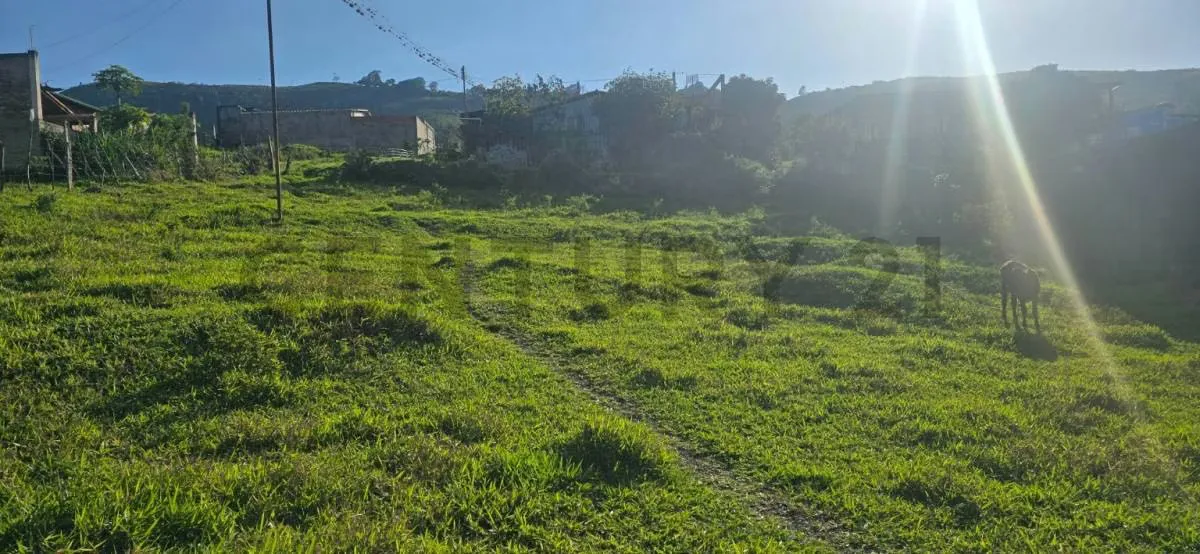 Venta Terreno en Belandria - 2
