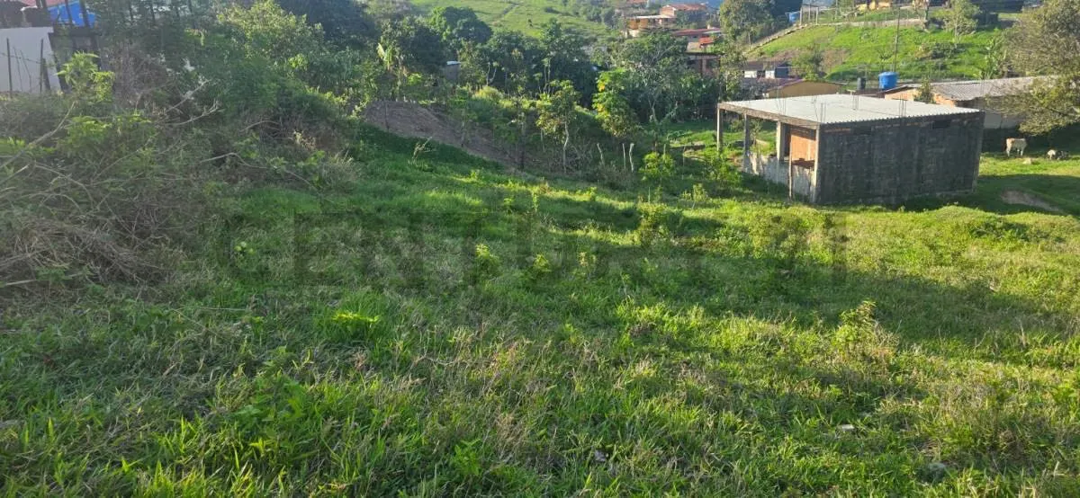 Venta Terreno en Belandria - 3