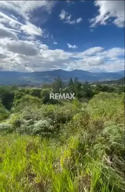 View 2