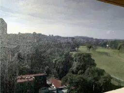 Vista 24