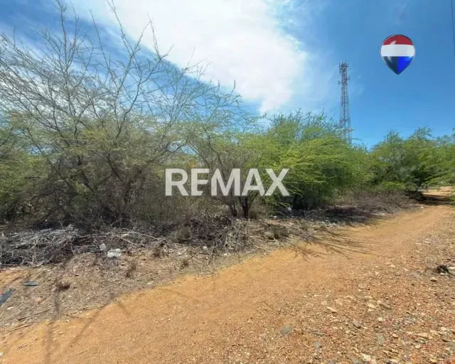 EN VENTA EXTENSO TERRENO EN LOS GOMEZ - 13