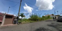 Vista 1