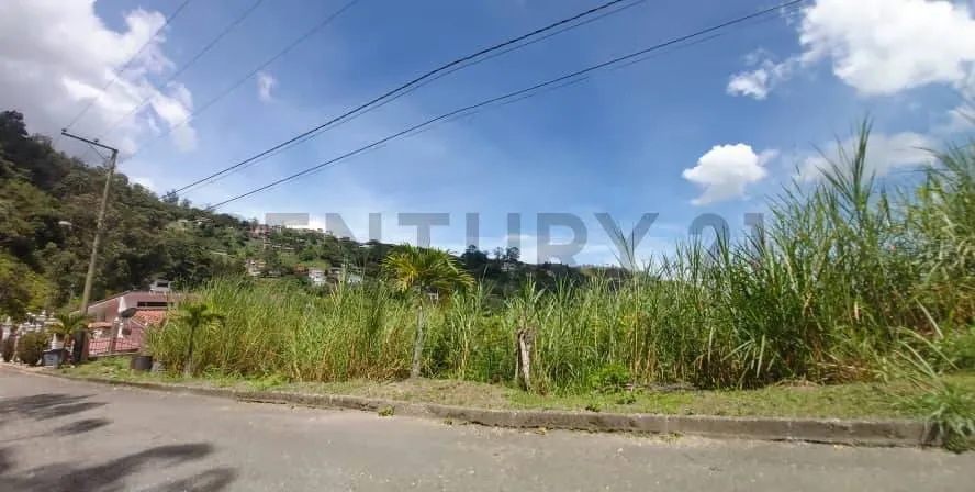 VENTA DE TERRENO EN SAN ANTONIO DE LOS ALTOS - 2