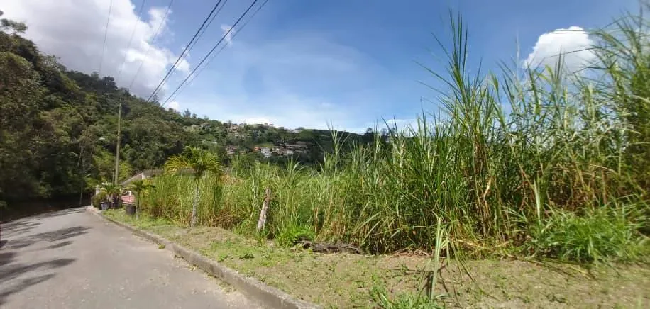 VENTA DE TERRENO EN SAN ANTONIO DE LOS ALTOS - 3