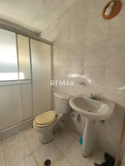 Vista 19