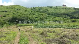 View 6