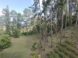 View 17