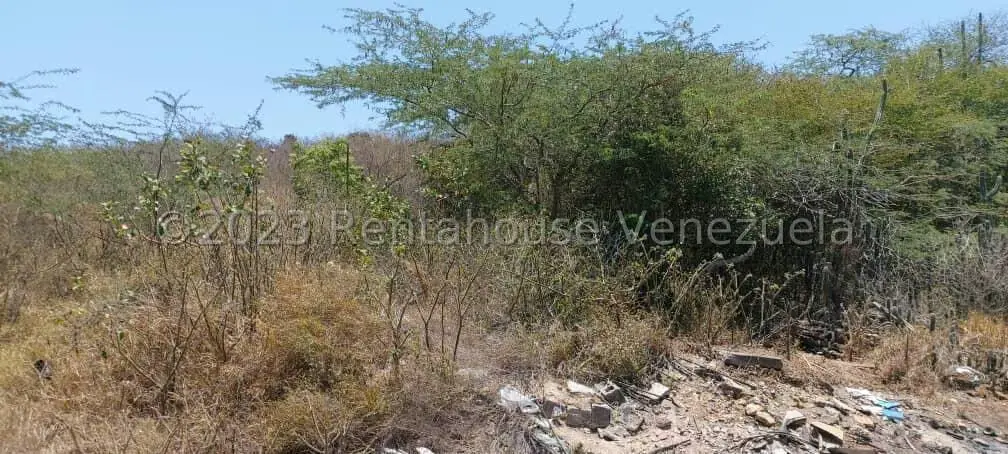 Terreno (Industrial) en Venta en Los Robles, Nueva Esparta - 5