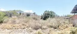 View 7